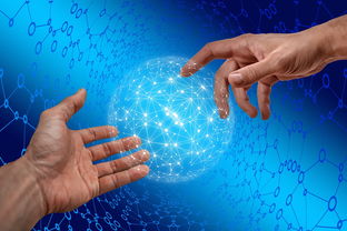 开云体育在线-德国仰泳项目技术稳定提升，德国仰泳项目技术稳定提升方案